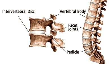 Low Back Sprain/Strain