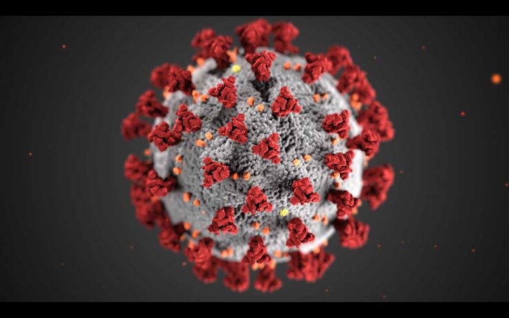 Covid19 Coronavirus